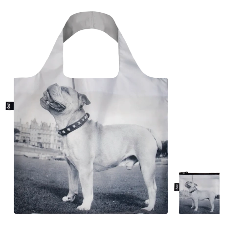 EILEEN AGAR Dandy the Bulldog 