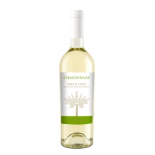 Santoro Chardonnay Puglia 2021 11,5%, 75CL