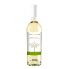 Santoro Chardonnay Puglia 2023 11,5%, 75CL